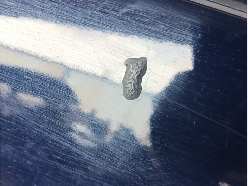 Recambio de puerta trasera derecha para dacia sandero ii 1.2 referencia OEM IAM 821002434R  