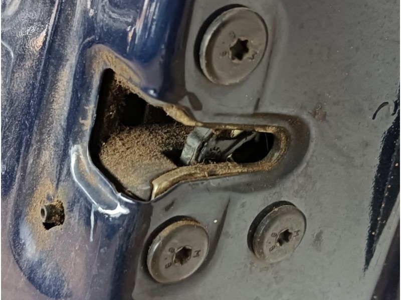 Recambio de puerta trasera derecha para dacia sandero ii 1.2 referencia OEM IAM 821002434R  