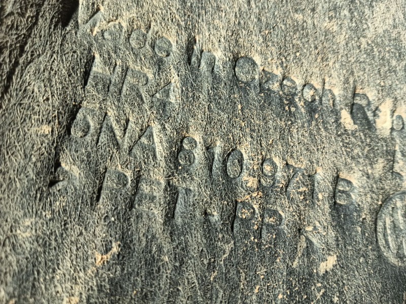 Recambio de paso de rueda trasero izquierdo para volkswagen tiguan (ad1, ax1) 1.4 tsi referencia OEM IAM   