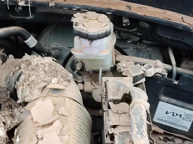 Recambio de bomba freno para kia sportage v (nq5) 1.6 t-gdi referencia OEM IAM   