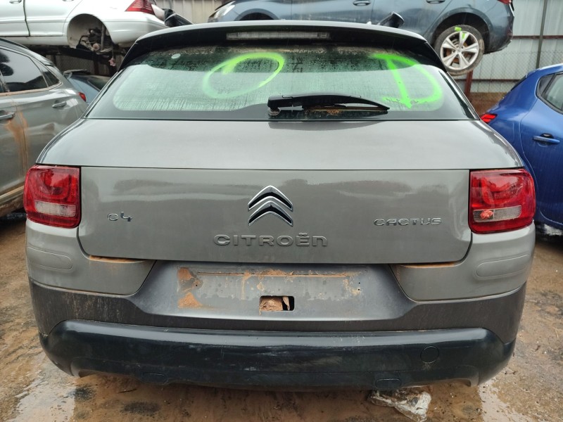 citroën c4 cactus del año 2017