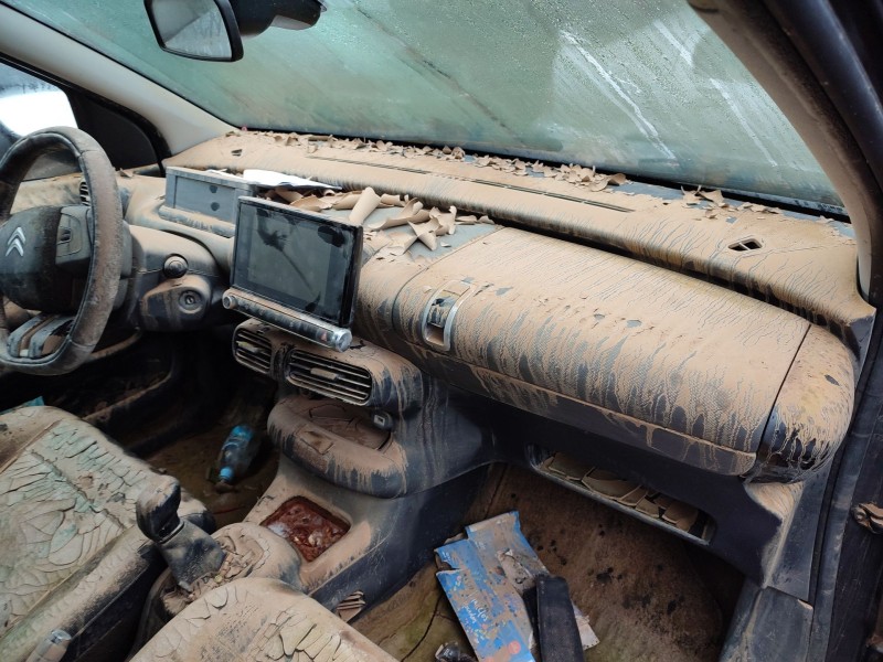 citroën c4 cactus del año 2017