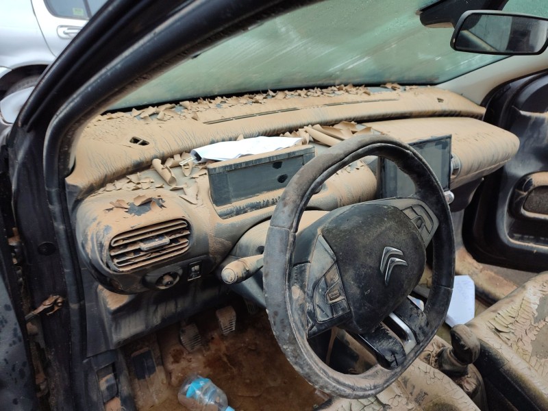 citroën c4 cactus del año 2017