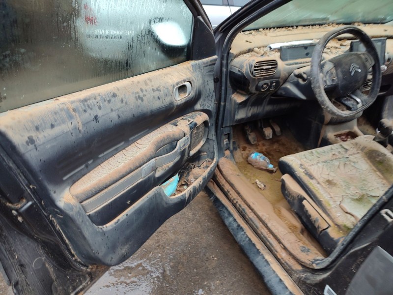 citroën c4 cactus del año 2017