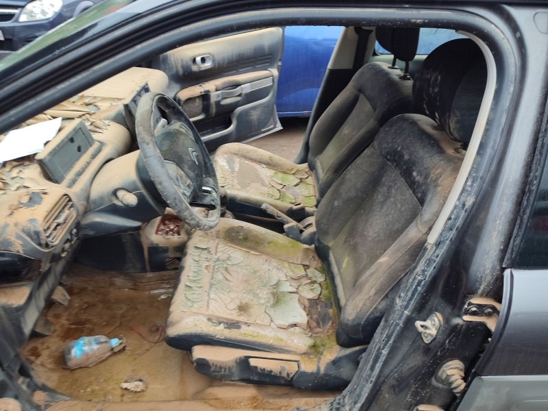 citroën c4 cactus del año 2017