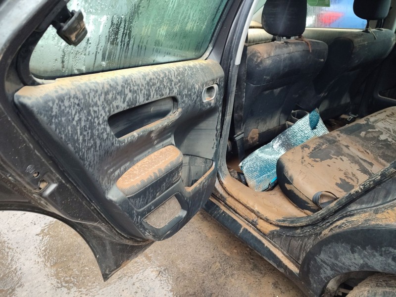 citroën c4 cactus del año 2017