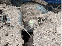 Recambio de bomba freno para dacia sandero iii 1.0 tce 90 referencia OEM IAM    2