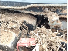 Recambio de servofreno para honda insight (ze_) 1.3 ima (ze28, ze2) referencia OEM IAM   