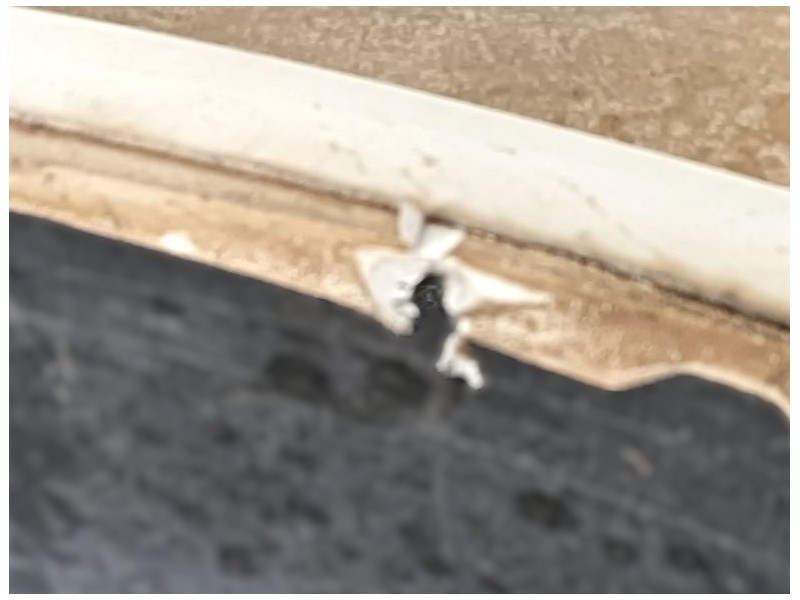 Recambio de paragolpes delantero para audi a3 (8p1) 1.9 tdi referencia OEM IAM 8P0807105FGRU  