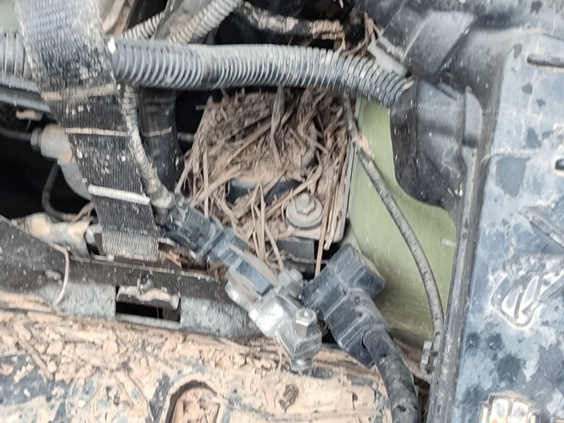 Recambio de abs para ford ka (ru8) 1.2 referencia OEM IAM   