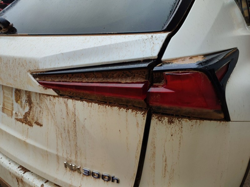 lexus nx (_z1_) del año 2020