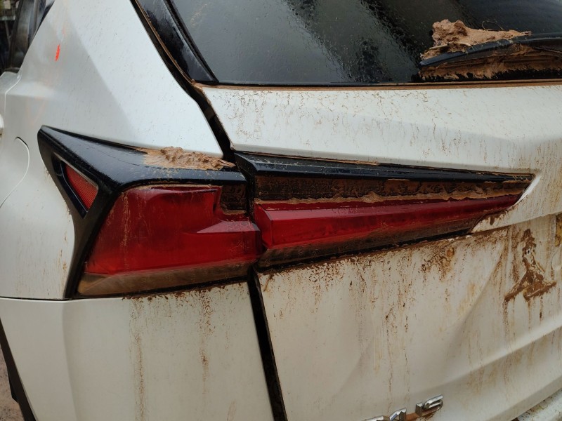 lexus nx (_z1_) del año 2020