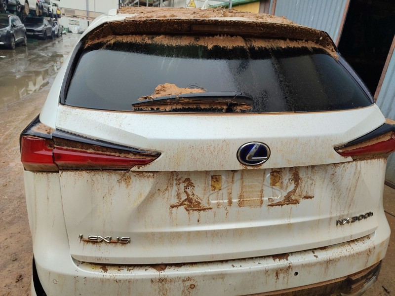 Recambio de porton trasero para lexus nx (_z1_) 300h awd (ayz15) referencia OEM IAM 6700578050  