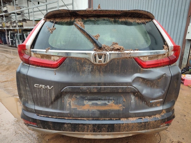 honda cr-v v (rw_, rt_) del año 2019