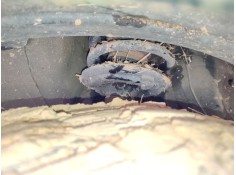 Recambio de amortiguador delantero izquierdo para honda cr-v v (rw_, rt_) 2.0 e-cvt hybrid (rt5) referencia OEM IAM   