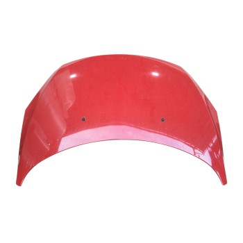 CAPOT DELANTERO 7901L9 