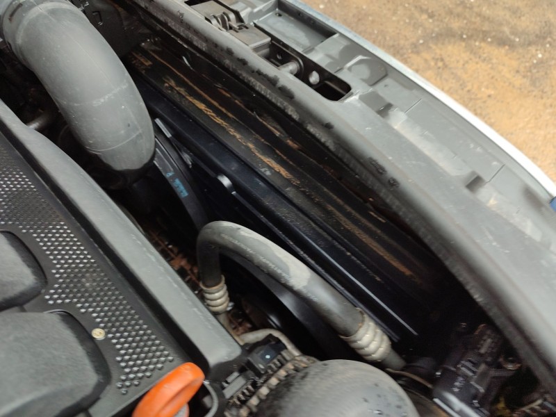 Recambio de radiador agua para audi a3 (8p1) 1.9 tdi referencia OEM IAM   