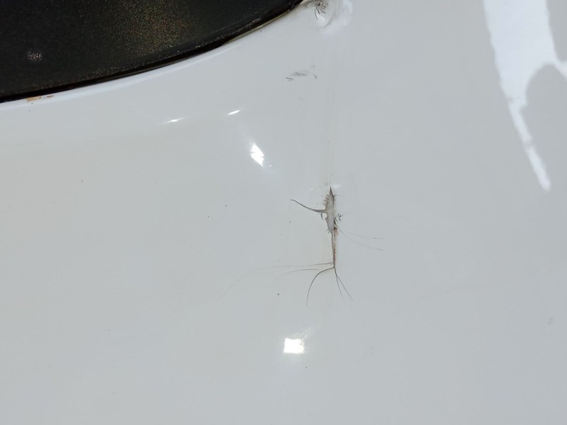 Recambio de paragolpes trasero para ford focus iv (hn) 1.5 ecoblue referencia OEM IAM   