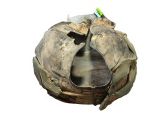 Recambio de paso de rueda delantero izquierdo para ford focus iv (hn) 1.5 ecoblue referencia OEM IAM    2