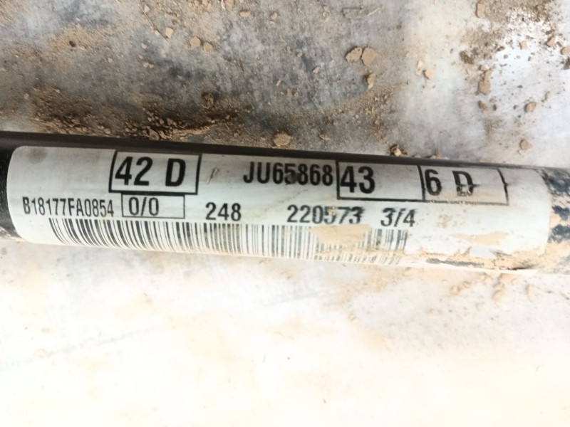 Recambio de barra estabilizadora delantera para ford focus iv (hn) 1.5 ecoblue referencia OEM IAM   