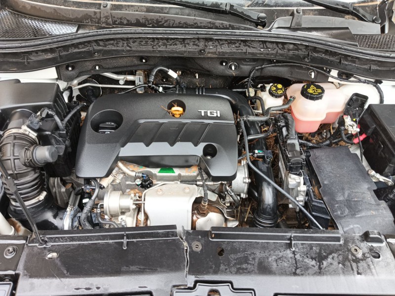 mg mg zs suv del año 2024