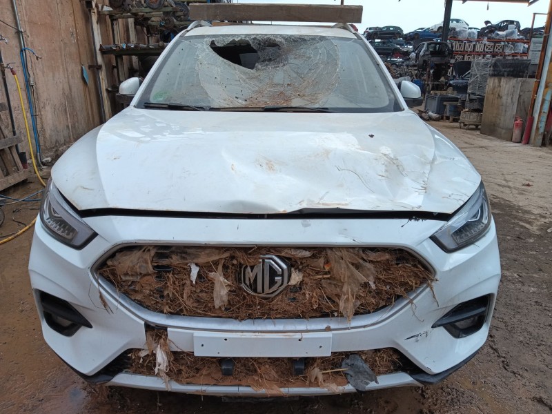 mg mg zs suv del año 2024