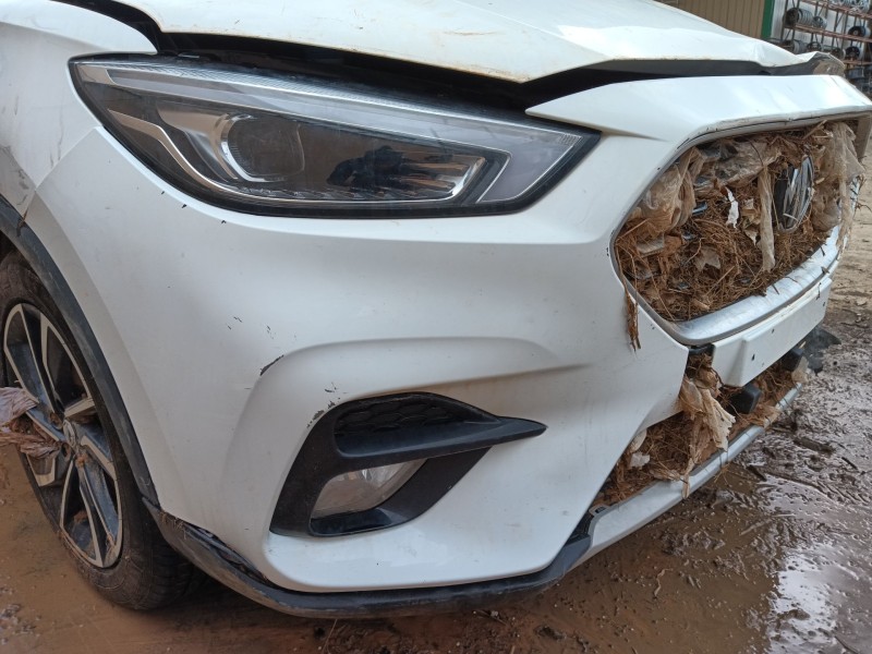 mg mg zs suv del año 2024