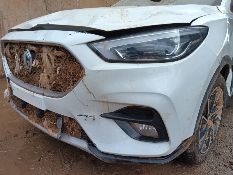 mg mg zs suv del año 2024