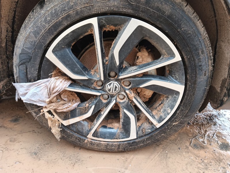 mg mg zs suv del año 2024