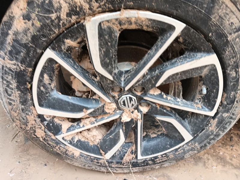 mg mg zs suv del año 2024