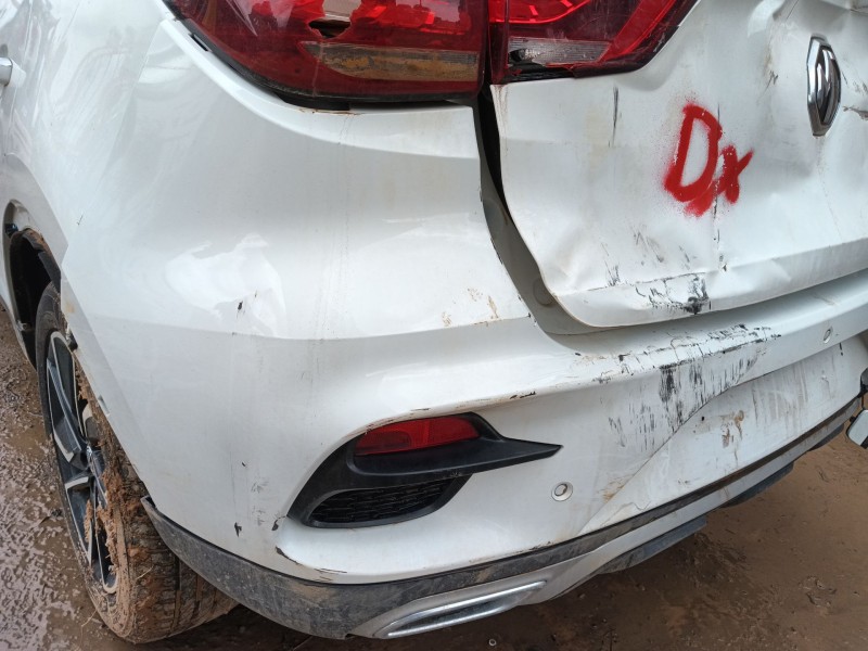 mg mg zs suv del año 2024