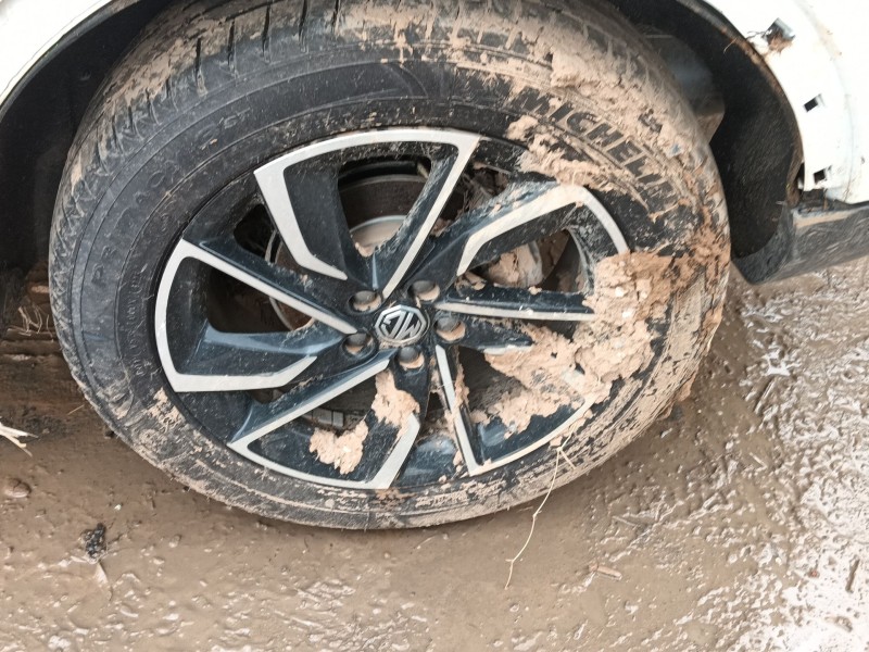 mg mg zs suv del año 2024