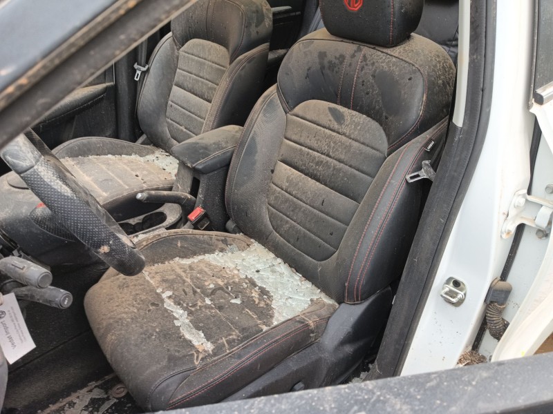 mg mg zs suv del año 2024