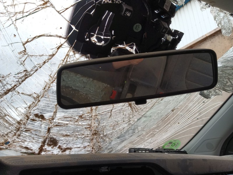 mg mg zs suv del año 2024