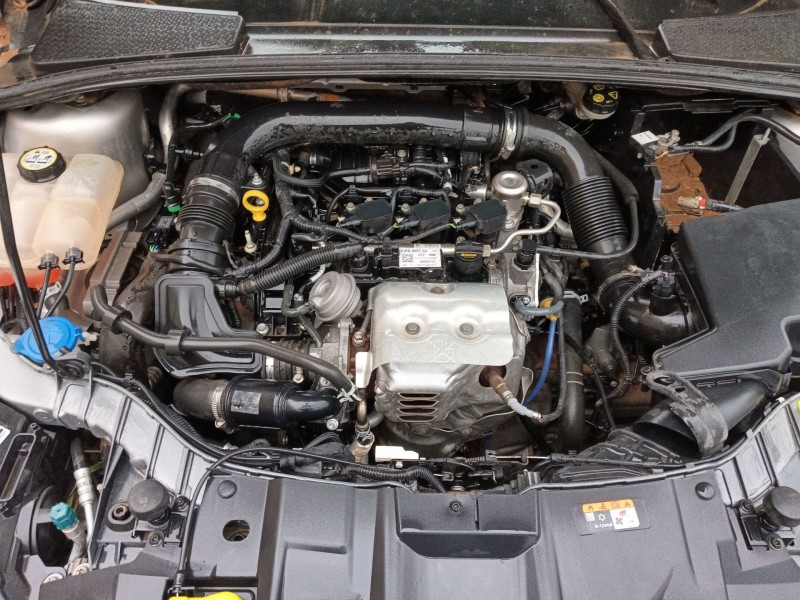 ford focus iv (hn) del año 2017