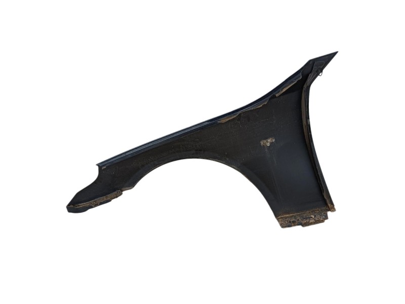 Recambio de aleta delantera derecha para bmw 5 (e60) 520 d referencia OEM IAM   