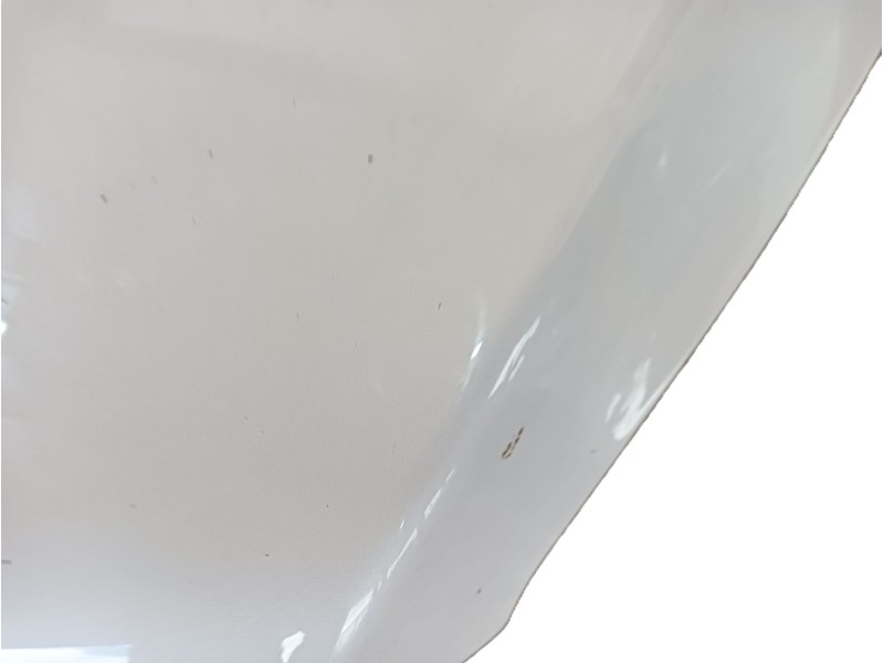 Recambio de capot para ford kuga ii (dm2) 2.0 tdci referencia OEM IAM 2315693  