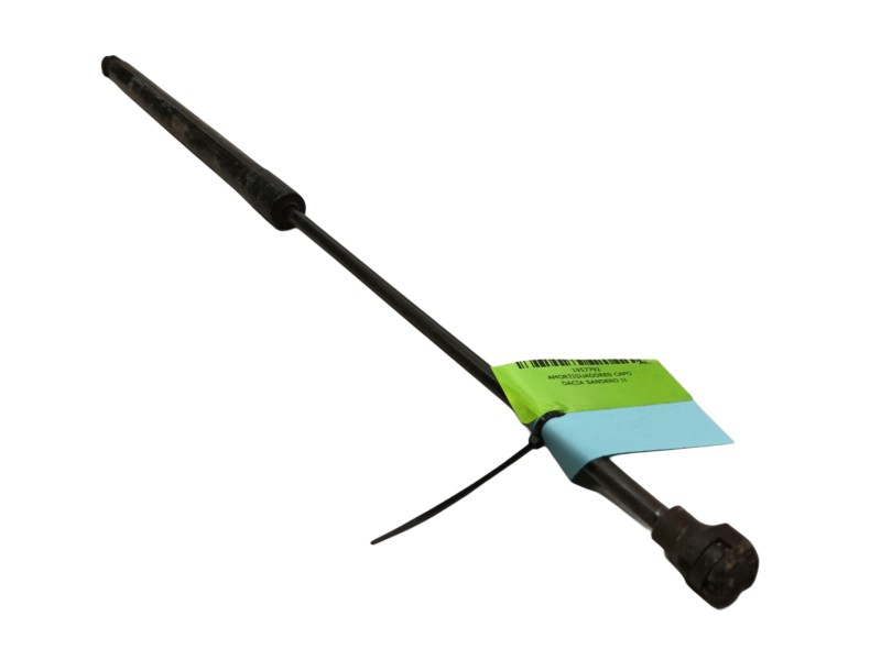 Recambio de amortiguadores capo para dacia sandero ii 1.2 referencia OEM IAM   