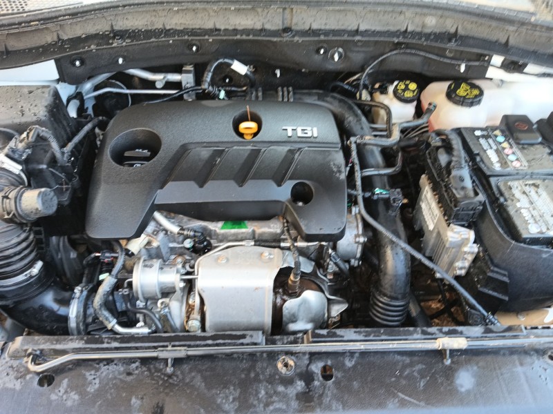 mg mg zs suv del año 2024