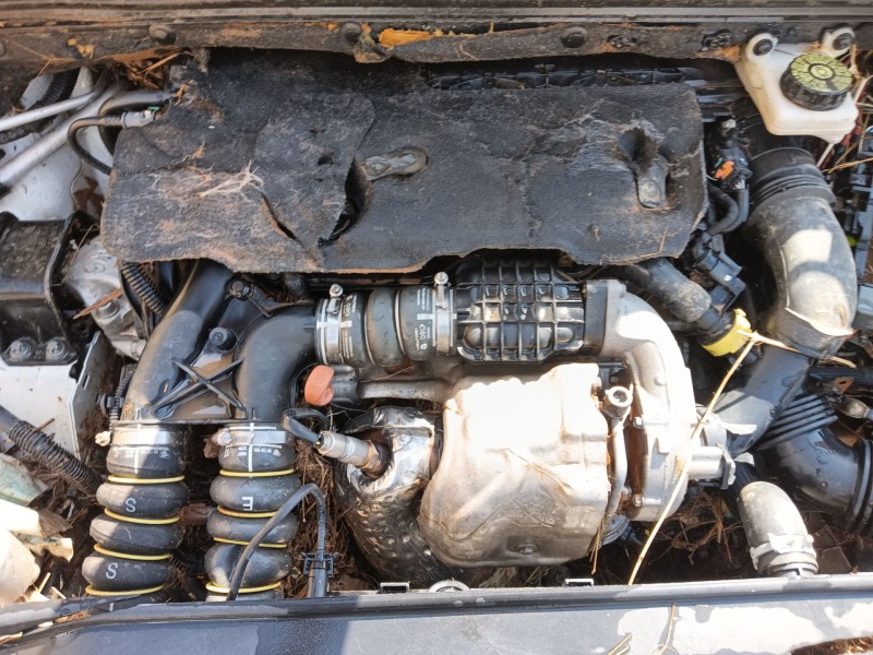 Recambio de caja cambios para citroën c4 ii (nc_) 1.6 hdi 115 referencia OEM IAM   