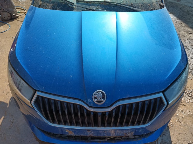 skoda fabia iii (nj3) del año 2019