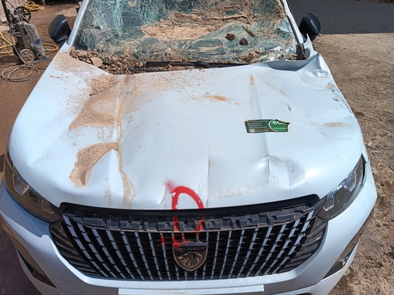 peugeot 2008 ii (ud_, us_, uy_, uj_, ur_, uc_) del año 2023