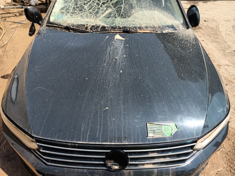 volkswagen passat b8 variant (3g5, cb5) del año 2017