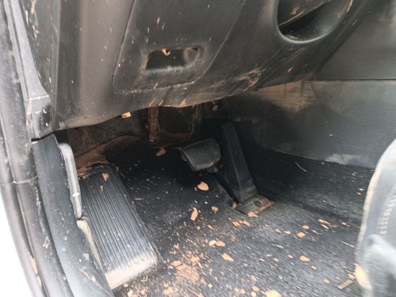 kia sportage v (nq5) del año 2023