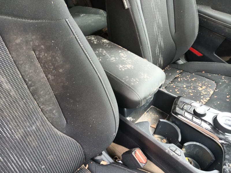 kia sportage v (nq5) del año 2023