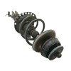 Recambio de amortiguador delantero izquierdo para dacia sandero stepway referencia OEM IAM 543021807R 543021807RA 03091000126