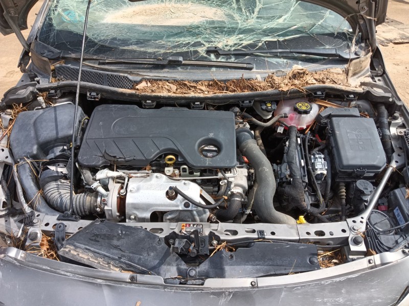 opel astra k (b16) del año 2017