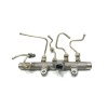 Recambio de rampa inyectora para renault scenic ii authentique referencia OEM IAM H8200296867  