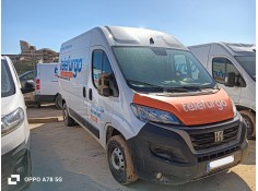 FIAT DUCATO FURGONETA (250_)