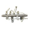 Recambio de rampa inyectora para renault scenic ii authentique referencia OEM IAM H8200296867  